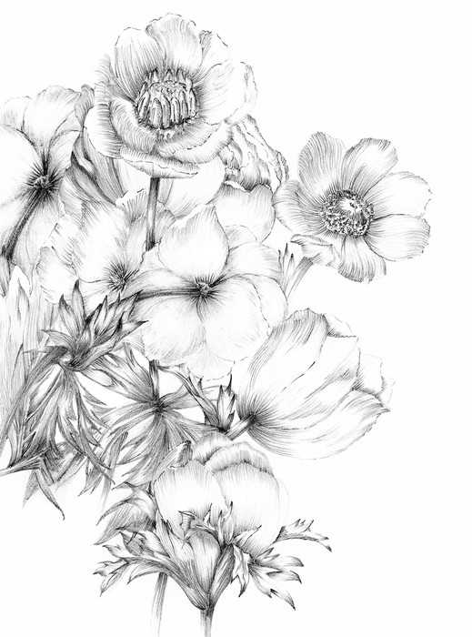 Vlies Embroidery