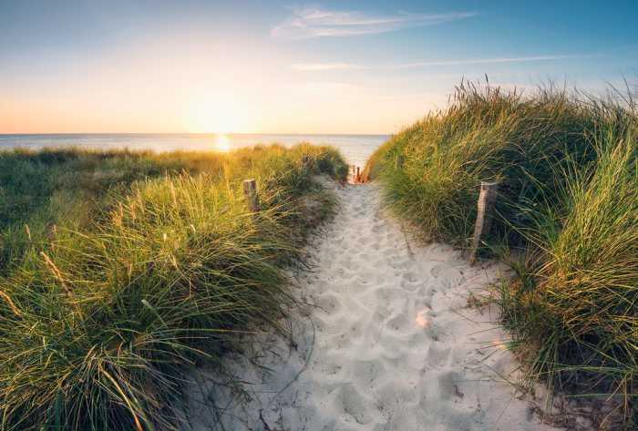 Vlies Way to the Beach