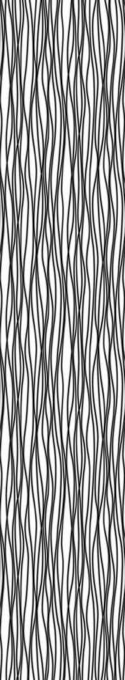 Digitaldrucktapete Zebra