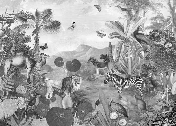 Digitaldrucktapete Flora and Fauna