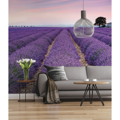Provence