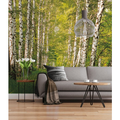 Birkenwald
