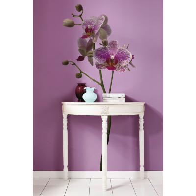 Orchidee