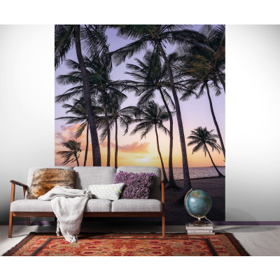 Palmtrees on Beach