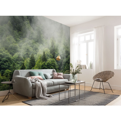 Forest Land