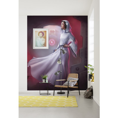 Star Wars Classic Leia