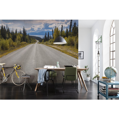 Atlin Road