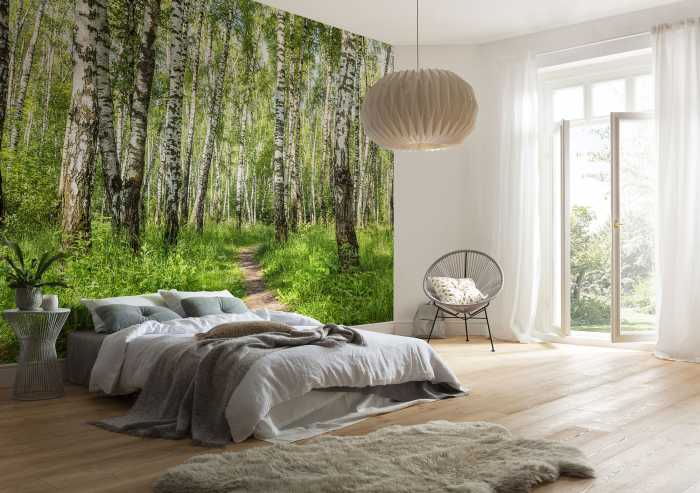 Standard Vlies Forêt de Bouleaux