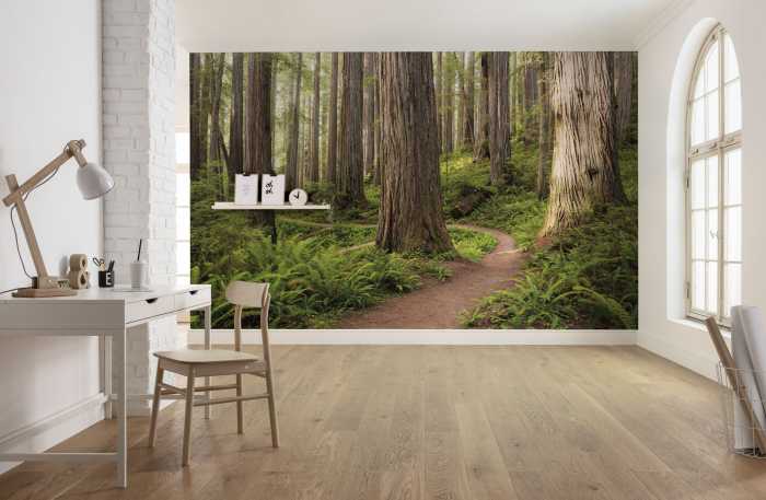 Digitaldrucktapete Redwood Trail