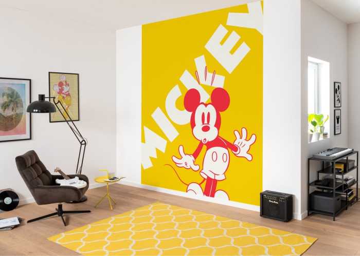 Premium Vlies Mickey Contrast