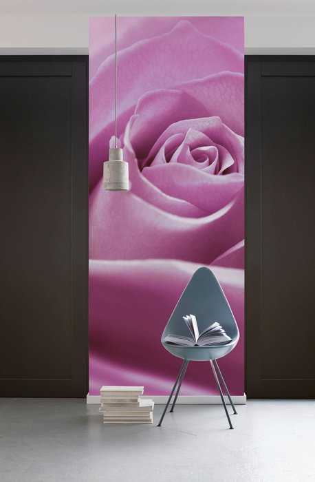 Premium Vlies Pink Rose