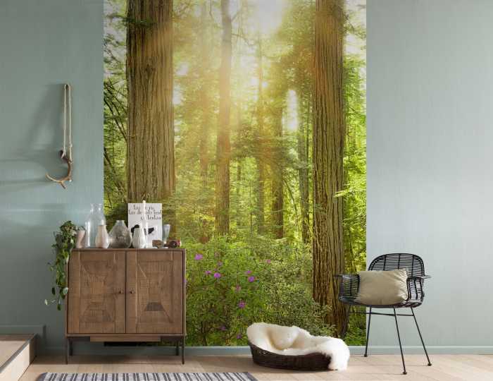 Digitaldrucktapete Redwood