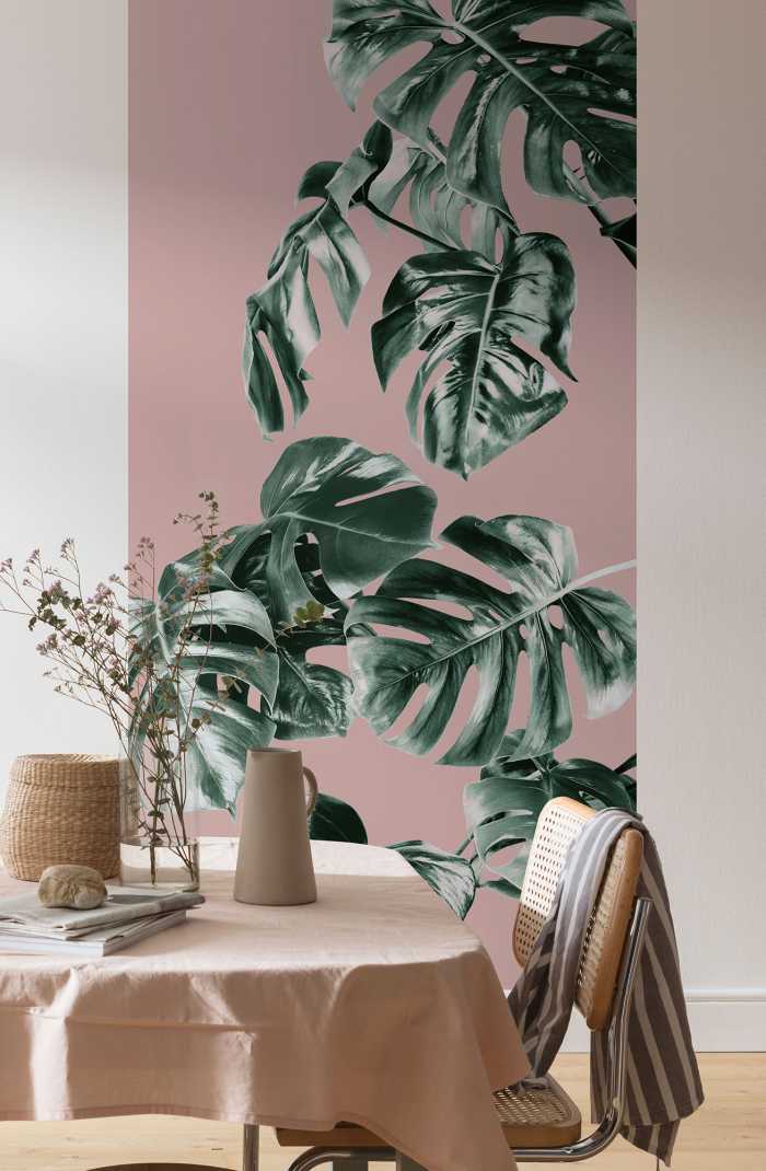 Digitaldrucktapete Monstera Rosé