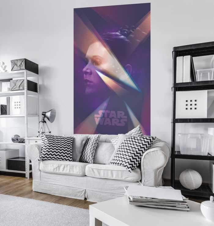 Panel Star Wars Female Leia
