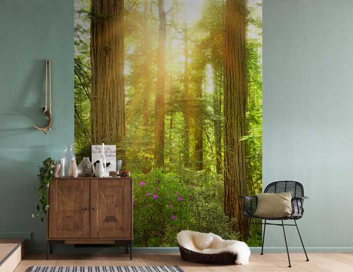 Digitaldrucktapete Redwood