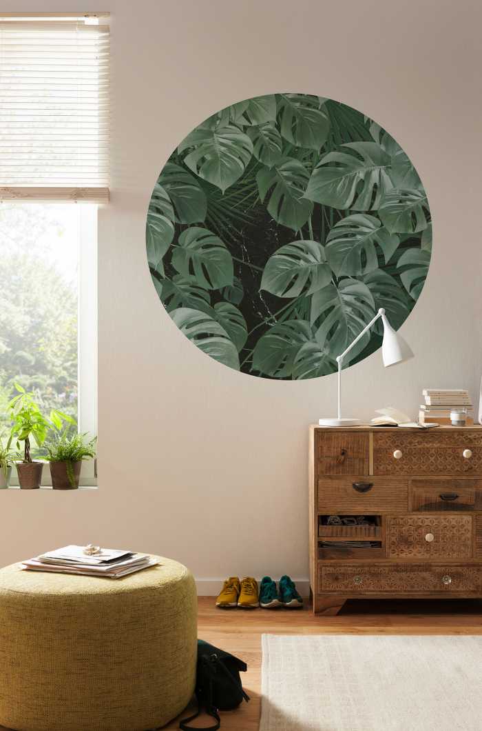 Runde Fototapete Novel Monstera