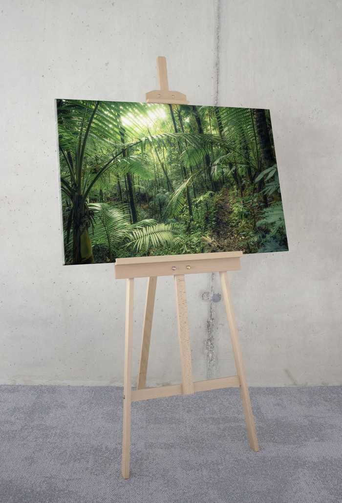 Vlies Leinwand Jungleflair