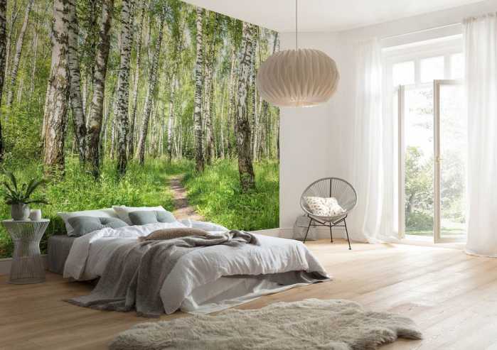 Standard Vlies Forêt de Bouleaux