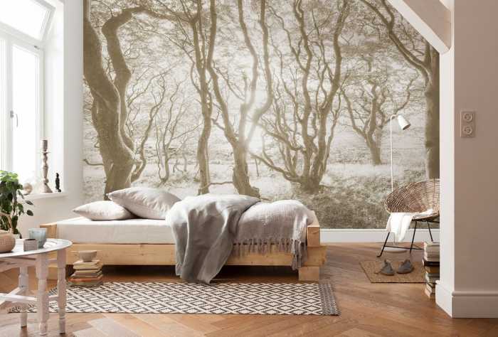 Premium Vlies Bleached Birch