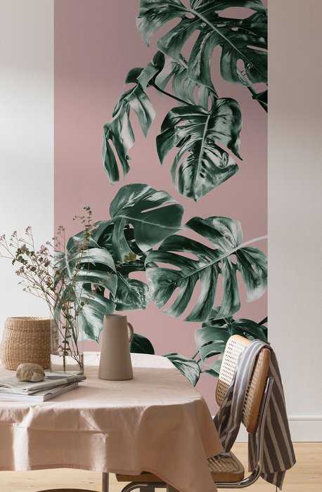Premium Vlies Monstera Rosé