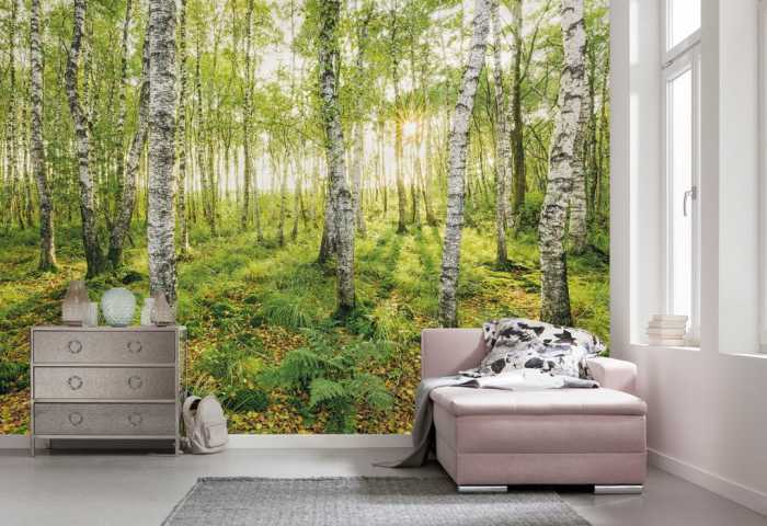 Premium Vlies Birch Trees