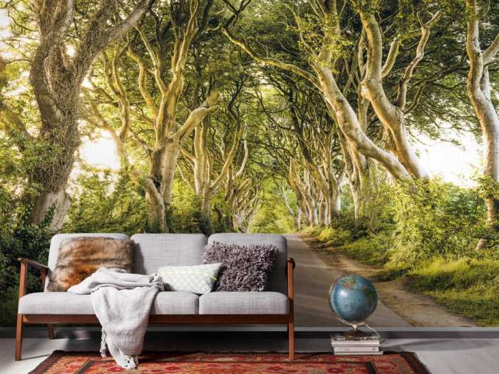 Premium Vlies Golden Hedges