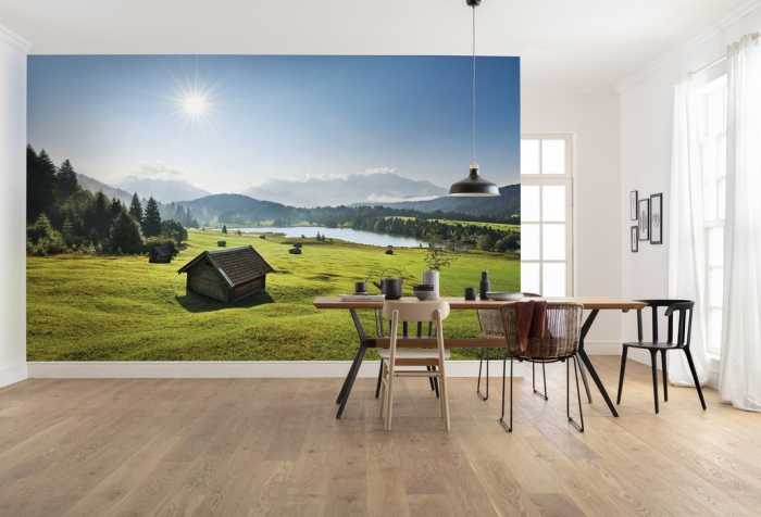 Standard Vlies Bergwiese vor Karwendel