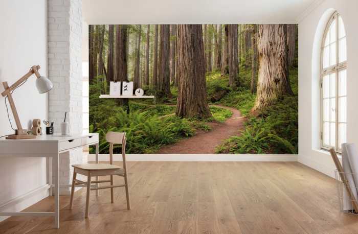 Standard Vlies Redwood Trail