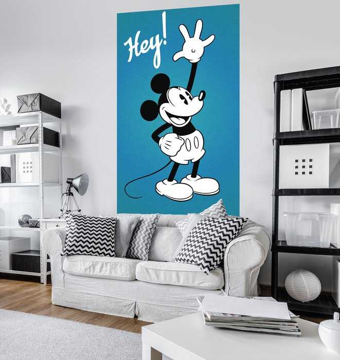 Vlies Mickey - Hey