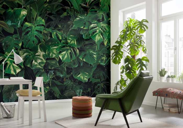 Fototapete auf Vlies Tropical Wall