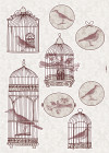 Bird Cage