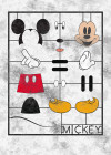 Mickey Kit