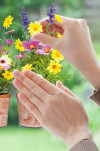 Springtime