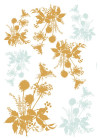 Wiesenblumen