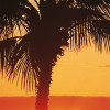 Hawaii