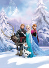 Frozen Winter Land