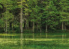 Green Lake