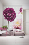 Flowers & Dots