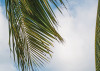 Castaway