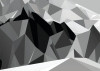 Icefields