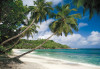 Tropical Sea