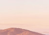 San Francisco Morning