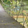 Wild Bridge