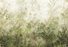 Wilderness