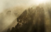 Misty Mountain