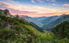 Alps