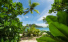 Cast Away Jungle 