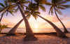 Reaching the Sun