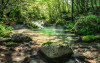 Tranquil Pool