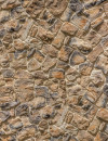 Muro